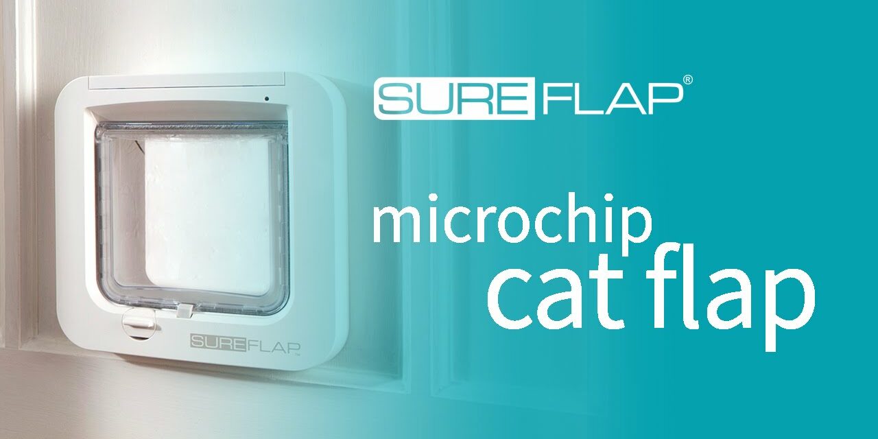 Product of the Day: The Sureflap Pet Door