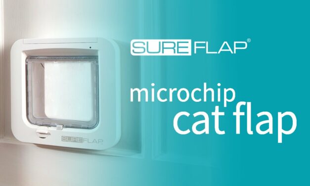 Product of the Day: The Sureflap Pet Door